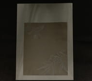 展開図 - 背面